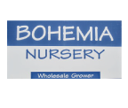Bohemia Nursery logo