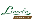 Lincoln Logo