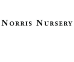 Norris Nursery logo