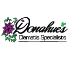 Donahues Logo